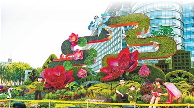 北京市民自育花卉亮相長安街國慶主題花壇